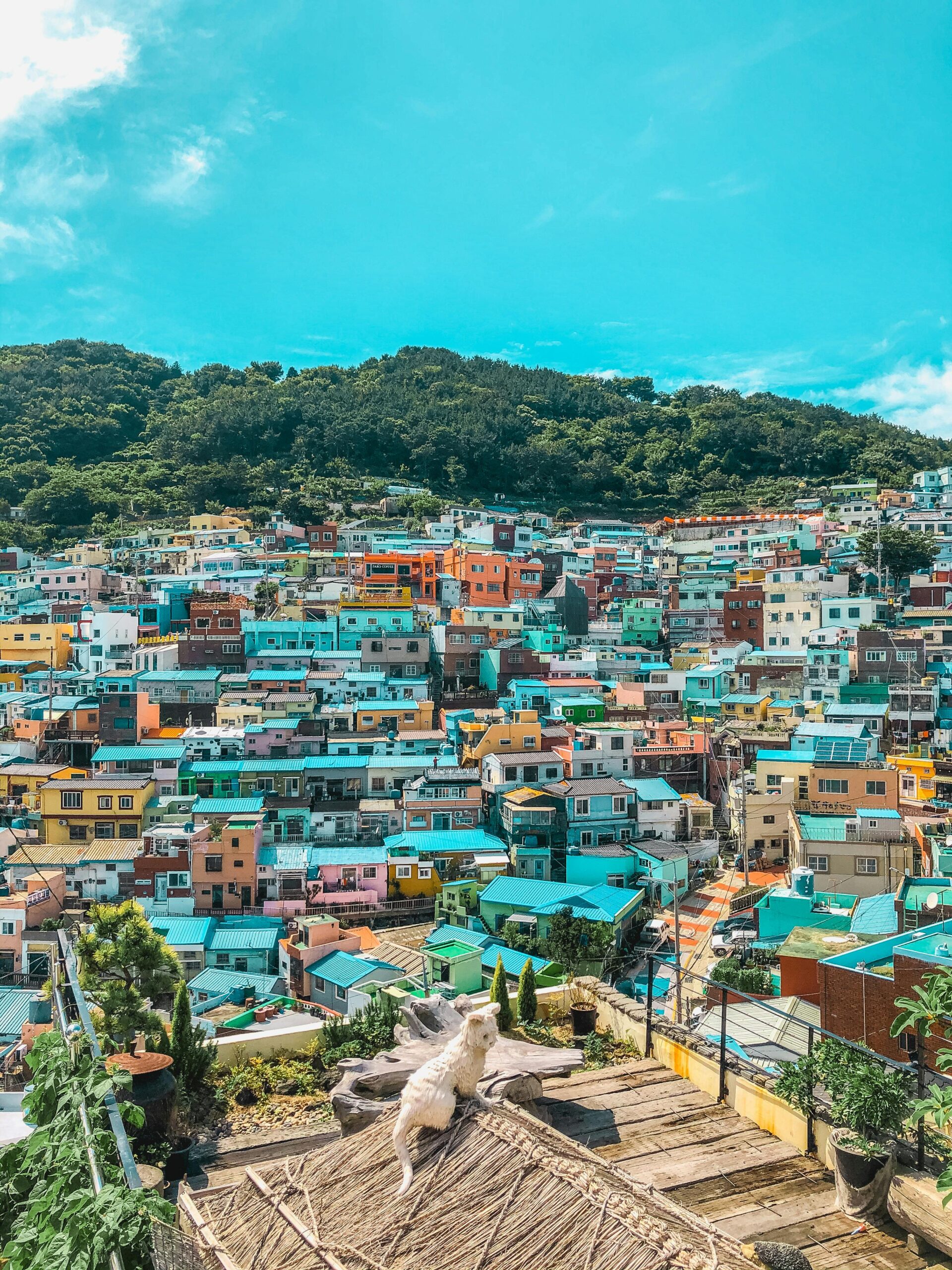 Colorful hillside houses of Gamcheon Culture Village, Busan on a sunny day.