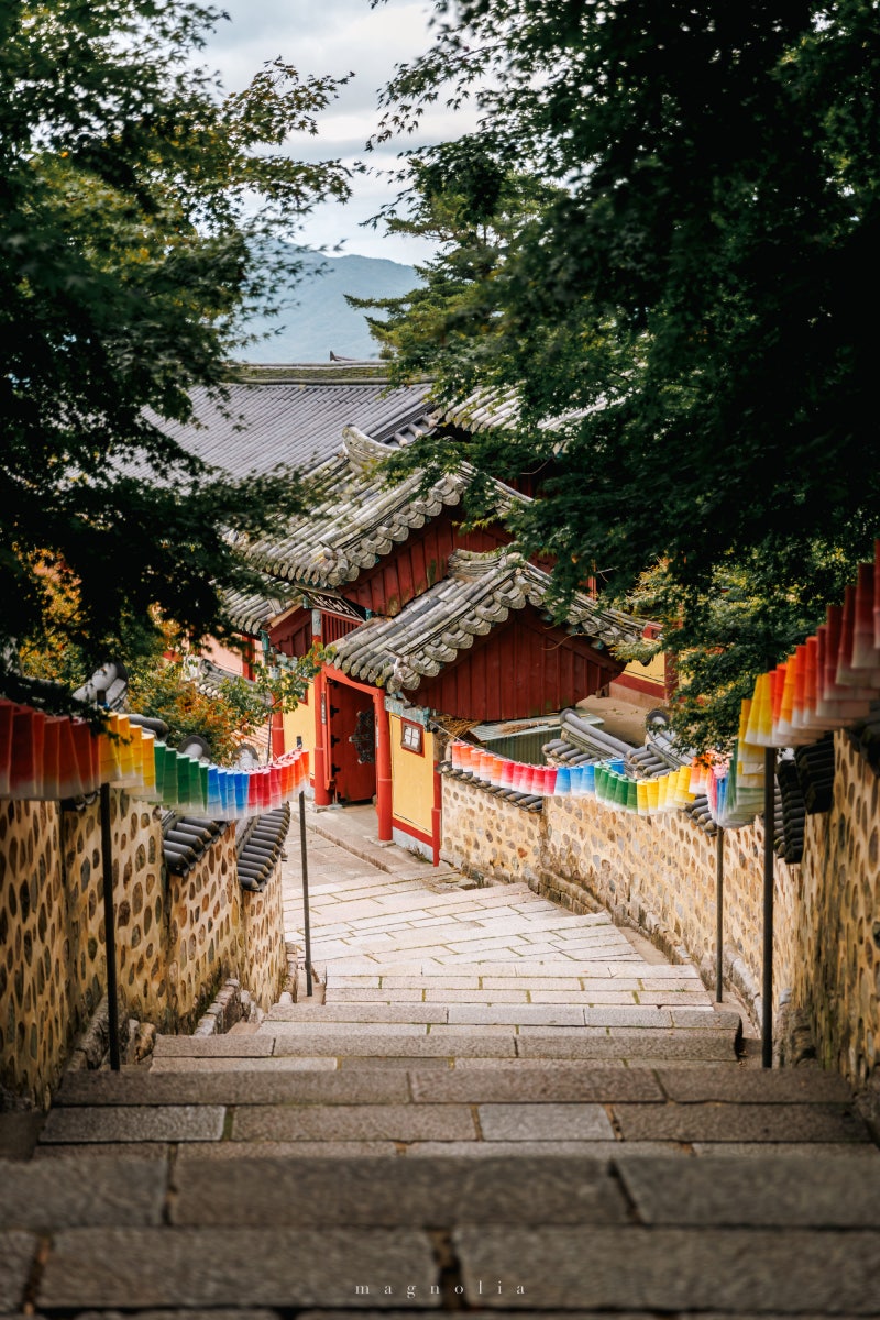Stone stairway to a traditional Korean temple with colorful lanterns near Busan